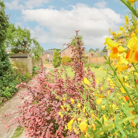 Semesterbostad Rock *